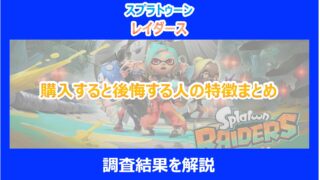【レイダース】購入すると後悔する人の特徴まとめ|調査結果から解説|スプラ